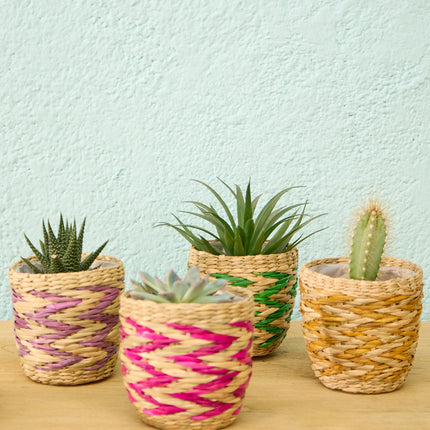 Mini-Pflanzgefäße aus Seegras 4er-Set