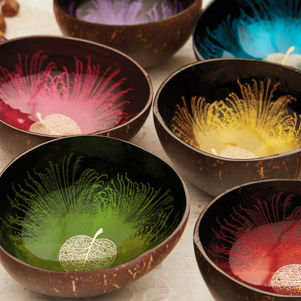 Nachhaltige Kokosnussschale – Handbemalt