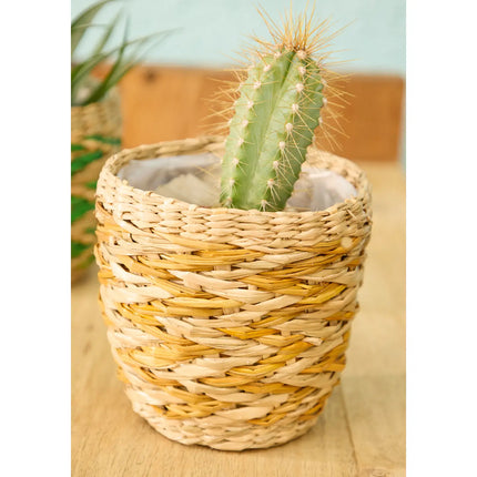 Mini-Pflanzgefäße aus Seegras 4er-Set