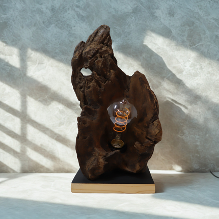 Tischlampe – Einzigartige Natur trifft stilvolles Design