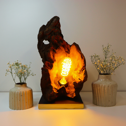 Tischlampe – Einzigartige Natur trifft stilvolles Design