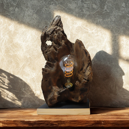 Tischlampe – Einzigartige Natur trifft stilvolles Design