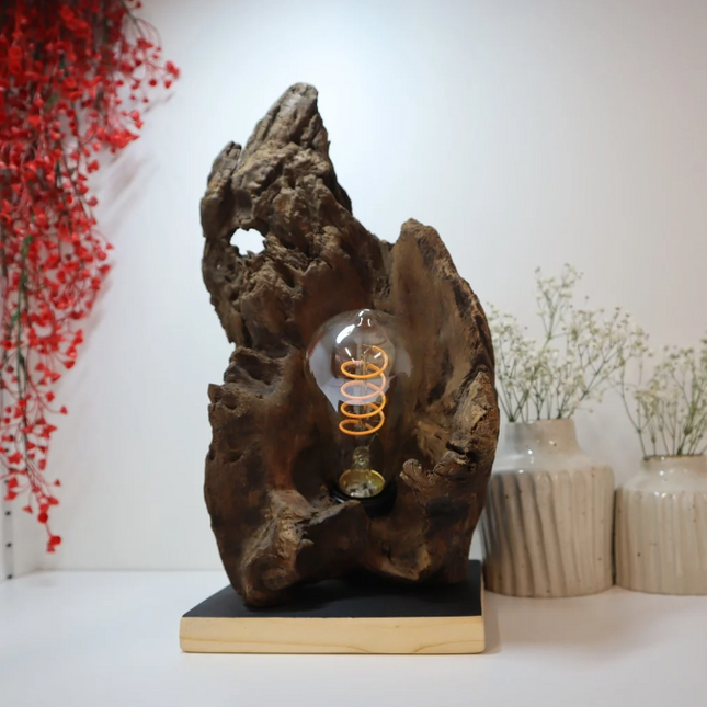 Tischlampe – Einzigartige Natur trifft stilvolles Design