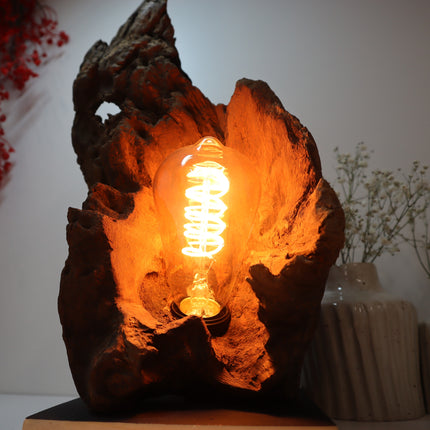 Tischlampe – Einzigartige Natur trifft stilvolles Design