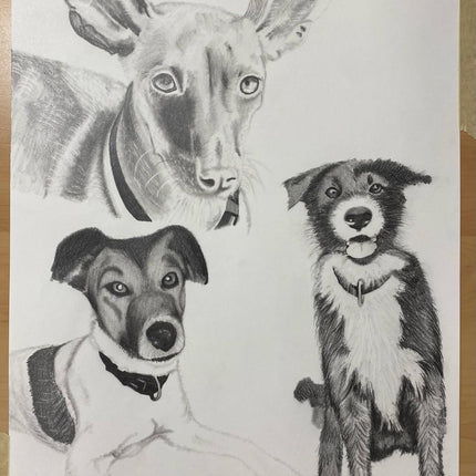 Kohlezeichnung nach deinem Foto