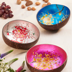 Collection image for: Startseite