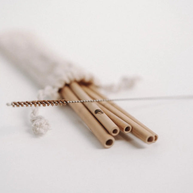 JustStraws – Nachhaltige Bambusstrohhalme