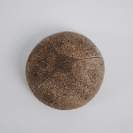 JustBowl Natural – Die nachhaltige Kokosnussschale für jede Mahlzeit