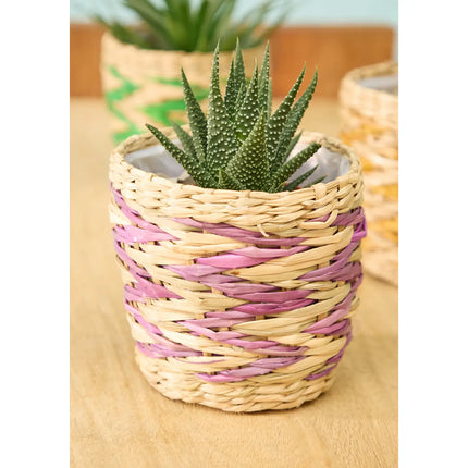 Mini-Pflanzgefäße aus Seegras 4er-Set